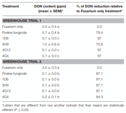 TABLE 3 | Reduction of DON mycotoxin accumulation during storage following treatment with the candidate endophytes.