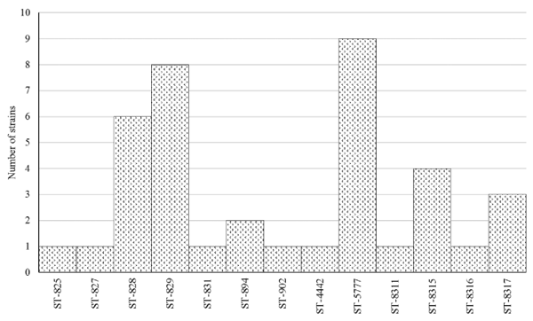 Figure 1. Distribution of STs among the 39 C. coli strains belonging to clonal complex 828.