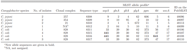 Table 6. MLST profiles of novel STs identified in Campylobacter strains.