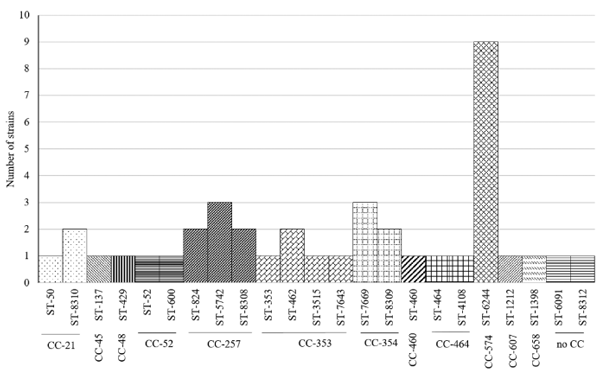 Figure 2. Distribution of STs and clonal complexes among the 40 C. jejuni strains.