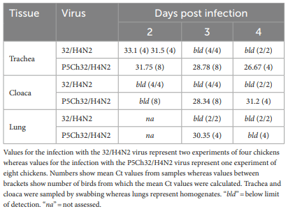 TABLE 1 The P5Ch32/H4N2 virus is detected for longer and in more tissues in 3-weeks old chicken than the parental 32/H4N2 virus.