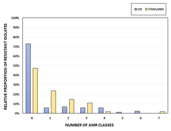 FIGURE 2 The percentage of isolates per country harboring AMR genes, grouped according to resistance to different AMR classes. Thai isolates are shown in yellow and UK isolates in blue. The total numbers of UK and Thai isolates were 88 and 55, respectively