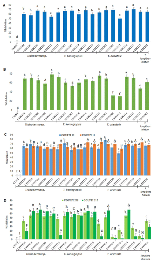 Fig 1. In vitro percent inhibition of Trichoderma spp. isolates against C. truncatum (A), L. theobromae (B), M. phaseolina COUFPI 10 and COUFPI 11 (C), and S. delphinii COUFPI 209 and COUFPI 249 (D). Averages followed by the same lowercase or capital letter are not significantly different by the Scott–Knott test at the 5% confidence level. The variation coefficients (CVs) were 4.67% for L. theobromae, 4.55% for M. phaseolina COUFPI 10, 5.96% for M. phaseolina COUFPI 11, 8.37% for S. delphinii COUFPI 209 and 6.02% for S. delphinii COUFPI 249.