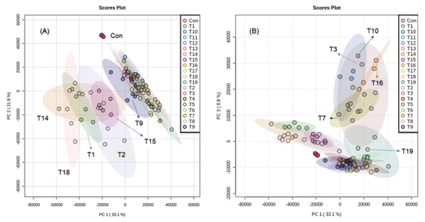 Fig 2. PC1 x PC2 (A) and PC1 x PC3 (B) score plots of metabolic fingerprints of Trichoderma spp. cultures generated using MetaboAnalyst, where Con = Control, UFPIT01 = T1, UFPIT02 = T2, UFPIT03 = T3, UFPIT04 = T4, UFPIT05 = T5, UFPIT06 = T6, UFPIT07 = T7, UFPIT08 = T8, UFPIT09 = T9, UFPIT10 = T10, UFPIT11 = T11, UFPIT12 = T12, UFPIT13 = T13, UFPIT14 = T14, UFPIT15 = T15, UFPIT16 = T16, UFPIT17 = T17, UFPIT18 = T18, and UFPIT19 = T19.