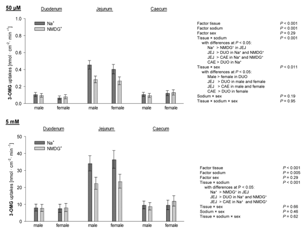 Fig. 2. Uptakes of 3-O methyl-D-glucose (3-OMG) at a final concentration of 50 µM and 5 mM. Columns represent least square means ± CI from n = 19 - 30 chickens. Three-way ANOVA and post hoc Student-Newman-Keuls’ test were used to compare the factors tissue, sodium, sex and their two- and three-way interactions. DUO = duodenum; JEJ = jejunum; CAE = caecum; NMDG+ = N-methyl-D-glucamine.