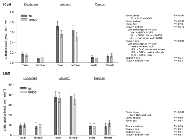 Fig. 3. Uptakes of L-methionine (L-Met) at a final concentration of 50 µM and 5 mM. Columns represent least square means ± CI from n = 19 - 30 chickens. Threeway ANOVA and post hoc Student-Newman-Keuls’ test were used to compare the factors sodium, tissue, sex and their two- and three-way interactions. DUO = duodenum; JEJ = jejunum; CAE = caecum; NMDG+ = N-methyl-D-glucamine.