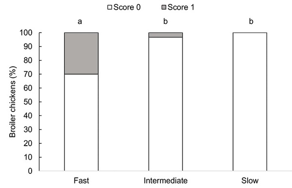 Fast growth rate is associated with musculoskeletal biomechanical imbalance and dorsal cranial myopathy in broiler chickens - Image 4