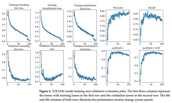 Figure 6. YOLOv9c model training and validation evaluation plots: The first three columns represent the losses with training losses in the first row and the validation losses in the second row. The 4th and 5th columns of both rows illustrate the performance metrics change across epochs.