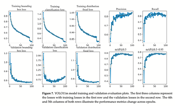 Figure 7. YOLO11m model training and validation evaluation plots. The first three columns represent the losses with training losses in the first row and the validation losses in the second row. The 4th and 5th columns of both rows illustrate the performance metrics change across epochs.