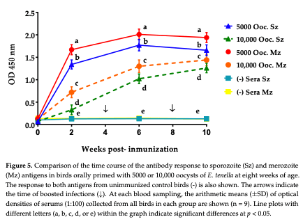 gure 5. Comparison of the time course of the antibody response to sporozoite (Sz) and merozoite (Mz) antigens in birds orally primed with 5000 or 10,000 oocysts of E. tenella at eight weeks of age. The response to both antigens from unimmunized control birds (-) is also shown. The arrows indicate the time of boosted infections (↓). At each blood sampling, the arithmetic means (±SD) of optical densities of serums (1:100) collected from all birds in each group are shown (n = 9). Line plo