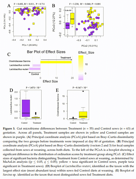 Effects of a Feed Sanitizer in Sow Diets on Sow and Piglet Performance - Image 3