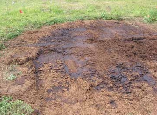 Poultry Waste Stockpiling Methods: Environmental Impacts and Their Mitigation - Image 3