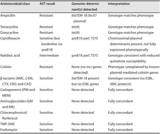 Characterization of antimicrobial resistance and genome of a Salmonella enterica serovar Rissen (FARPER-637) isolated from swine in Peru - Image 1