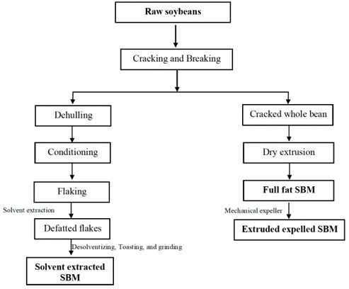 Full-Fat Soybean Meals as an Alternative Poultry Feed Ingredient—Feed Processing Methods and Utilization—Review and Perspective - Image 1