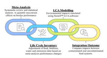 Fig. 3. Schematic representation of the integration of meta-analysis and life cycle assessment (LCA) in the present study. Meta-analysis was used to quantify the effects of mycotoxins on broiler performance. These performance changes were then used to adjust the life cycle inventory (LCI) inputs, including feed, fertilizer, water, and emission data. Subsequently, LCA modelling using Sustell™ software simulated environmental impacts. The final integration enabled comparative evaluation between contaminated and uncontaminated feed systems.