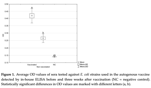 Figure 1. Average OD values of sera tested against E. coli strains used in the autogenous vaccine detected by in-house ELISA before and three weeks after vaccination (NC = negative control). Statistically significant differences in OD values are marked with different letters (a, b).