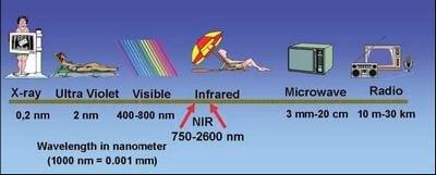 Near Infrared (NIR) Spectroscopy - The rapid analyses technique of the future - Image 2