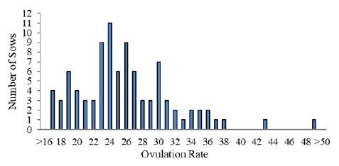 Figure 2. Variation in ovulation rate in multiparous sows (based on Da Silva, 2018). 