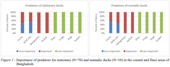 AUSTRALIA - MANAGEMENT AND HEALTH OF STATIONARY AND NOMADIC DUCKS IN THE COASTAL AND HAOR AREAS OF BANGLADESH - Image 2