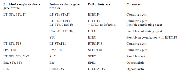 Common virulence gene profiles in clinical cases with intestinal problems in pigs at EcL.
