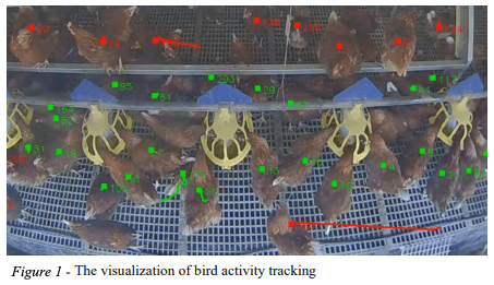 Figure 1 - The visualization of bird activity tracking