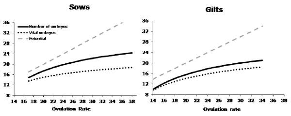 Relation between ovulation rate and the predicted number of total (thick line) and vital (this line) embryos at day 35 of pregnancy in sows and gilts. The dashed line (- - -) represents the potential number of embryos (i.e. ovulation rate) (Da Silva, 2017). Note: The difference between total and vital embryos is considered to be late embryonic mortality and the difference between ovulation rate and total number of embryos is considered to be early mortality. 