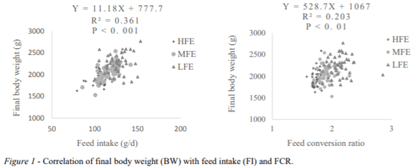 AUSTRALIA - ASSOCIATION OF FEED TO EGG EFFICIENCY WITH BODY WEIGHT AND DIGESTIVE ORGAN CHARACTERISTICS IN LAYING HENS - Image 1