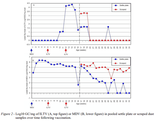 AUSTRALIA - TEMPORAL VARIATION OF ILTV AND MDV VIRAL GENOME IN DUST SAMPLES AFTER VACCINATION IN A LAYER FLOCK - Image 2