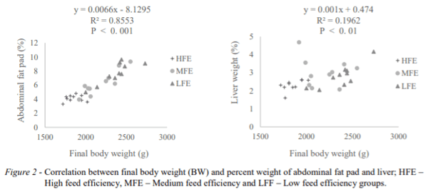 AUSTRALIA - ASSOCIATION OF FEED TO EGG EFFICIENCY WITH BODY WEIGHT AND DIGESTIVE ORGAN CHARACTERISTICS IN LAYING HENS - Image 3
