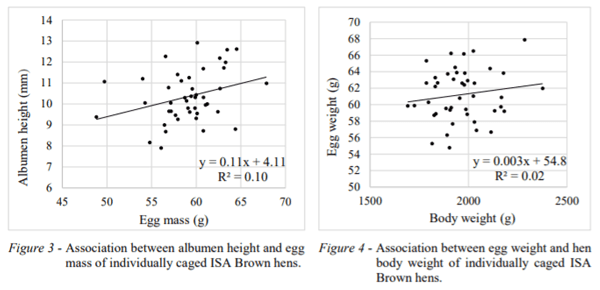 AUSTRALIA - RELATIONSHIP BETWEEN PRODUCTION TRAITS AND EGG QUALITY OF INDIVIDUAL ISA BROWN HENS - Image 3