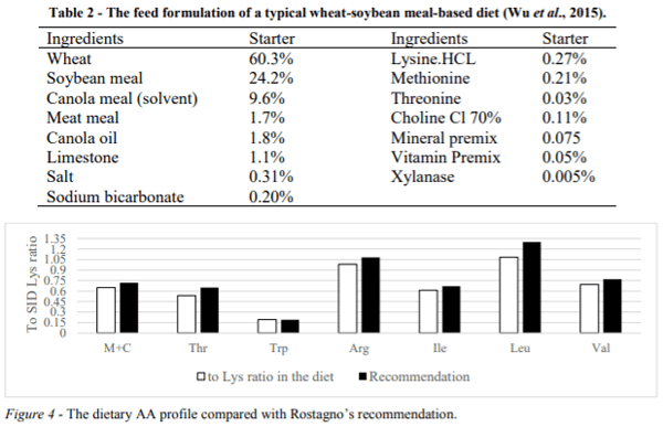 AUSTRALIA - IDEAL AMINO ACID PROFILE AND CHICKEN GUT DISTURBANCE: A REVIEW - Image 3