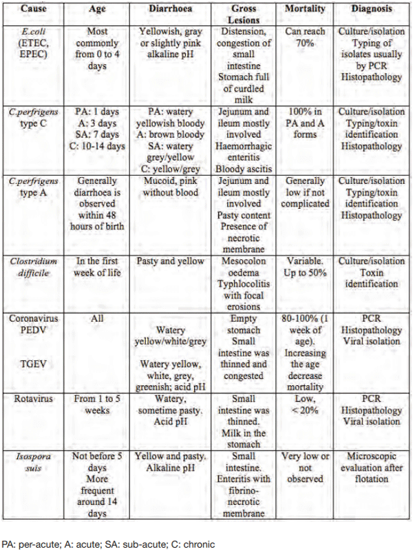 Table 2: Differential diagnosis of the main agents of neonatal diarrhoea (modified from Martelli et al., 2013). 