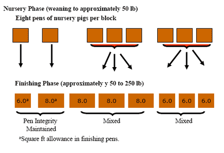 Effect of Mixing Pigs or Maintaining Pen Integrity on the Response to Growing-Finishing Space Allocation - Image 2
