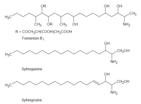 Fumonisins - Mycotoxins of increasing importance! - Image 4