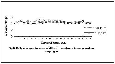 The Effect of Vitamin E Supplementation on Onset, Duration and Expression of the Oestrous Cycle in Gilts - Image 7