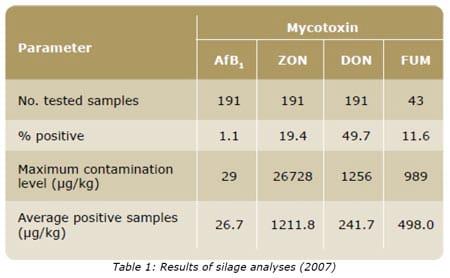Mycotoxins in silages - Image 2
