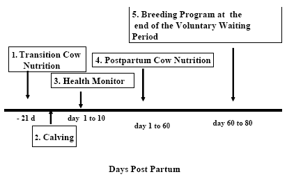 Managing The Postpartum Cow To Maximize Pregnancy Rates - Image 3