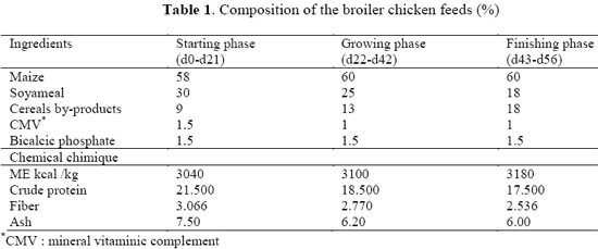 Effects of Pediococcus acidilactici Feed Supplementation On Broiler Chicken Performances, Immunity and Health - Image 1