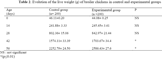 Effects of Pediococcus acidilactici Feed Supplementation On Broiler Chicken Performances, Immunity and Health - Image 2