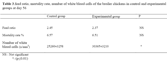 Effects of Pediococcus acidilactici Feed Supplementation On Broiler Chicken Performances, Immunity and Health - Image 3
