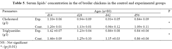 Effects of Pediococcus acidilactici Feed Supplementation On Broiler Chicken Performances, Immunity and Health - Image 5