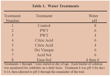 Effects of Water Acidification on Turkey Performance - Image 1