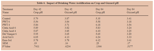Effects of Water Acidification on Turkey Performance - Image 4