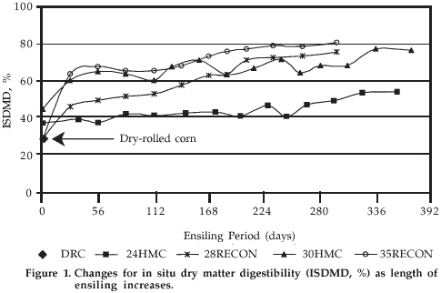 Effects of Corn Moisture and Length of Ensiling on Dry Matter Digestibility and Rumen Degradable Protein - Image 1