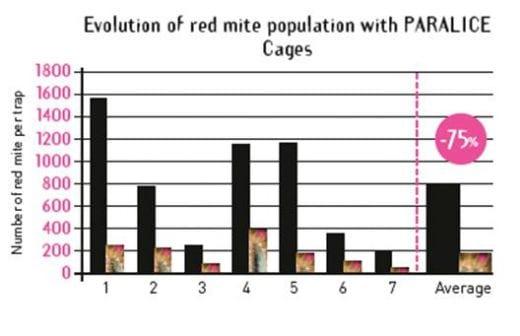 Innovative Approach to Tackle Red Mite Infestation in Layer Farms - Image 4