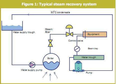 Steam Pipeline System and Energy-Saving for Feed Manufacturing - Image 3