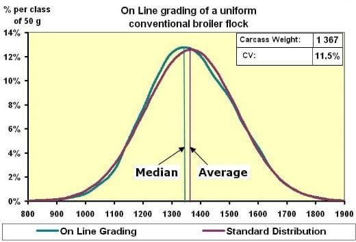 Evaluating Uniformity in Broilers - Factors Affecting Variation - Image 1