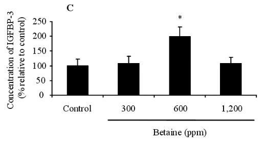 Effects of Dietary Betaine on the Secretion of Insulin-like Growth Factor-I and Insulin-like Growth Factor Binding Protein-1 and -3 in Laying Hens - Image 8