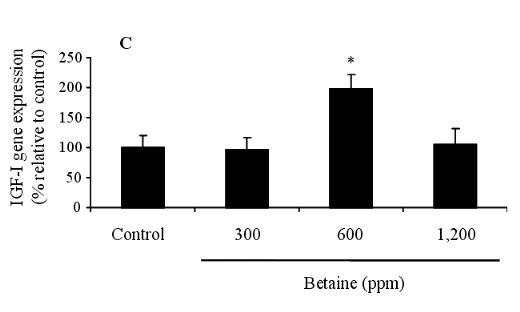 Effects of Dietary Betaine on the Secretion of Insulin-like Growth Factor-I and Insulin-like Growth Factor Binding Protein-1 and -3 in Laying Hens - Image 5
