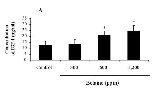 Effects of Dietary Betaine on the Secretion of Insulin-like Growth Factor-I and Insulin-like Growth Factor Binding Protein-1 and -3 in Laying Hens - Image 2